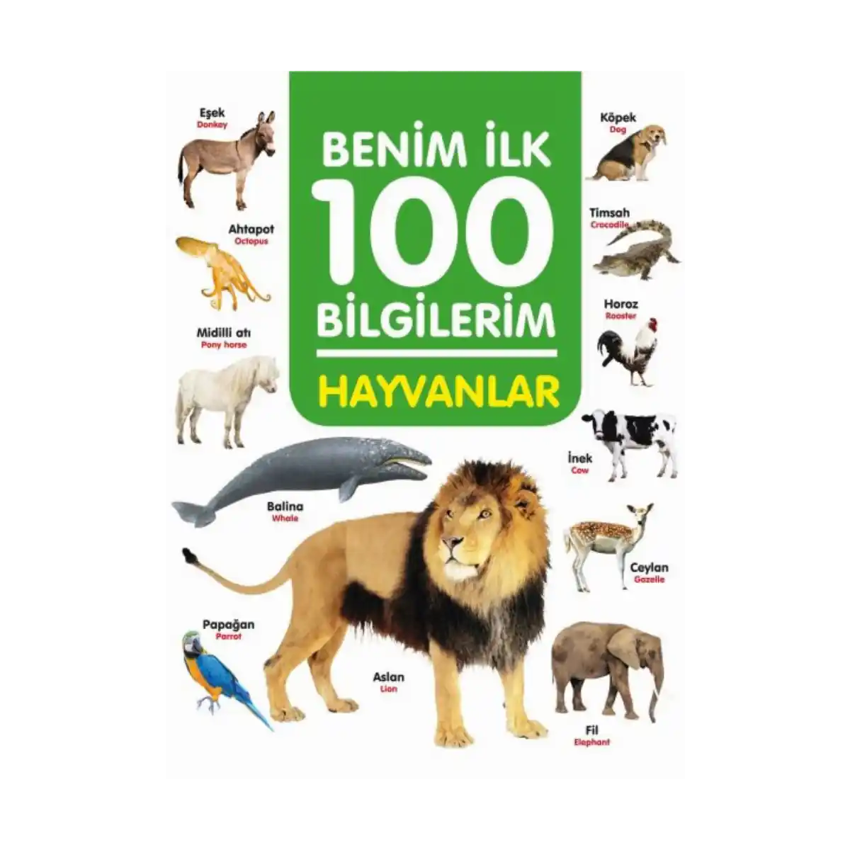 cca25-hayvanlar-benim-ilk-100-bilgilerim-1-1.webp Hayvanlar - Benim İlk 100 Bilgilerim - Görsel 1