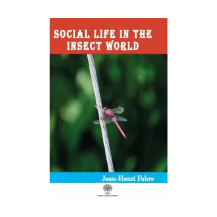 Social Life in the Insect World