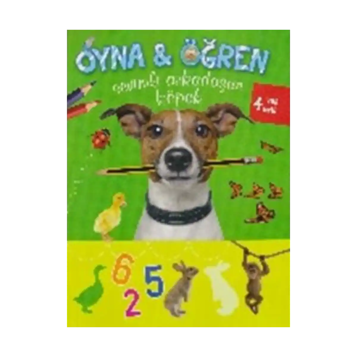 d661b-oyna-ogren-sevimli-arkadasim-kopek-1-1.webp Oyna - Öğren / Sevimli Arkadaşım Köpek - Görsel 1