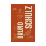 Bruno Schulz Toplu Öyküler