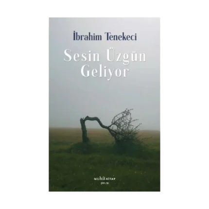 Sesin Üzgün Geliyor