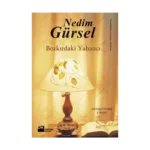 Bozkırdaki Yabancı