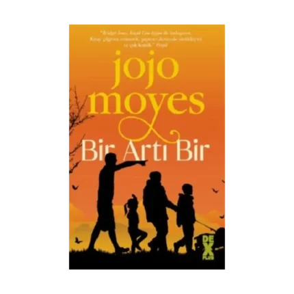 Bir Artı Bir