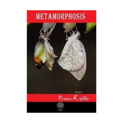 Metamorphosis
