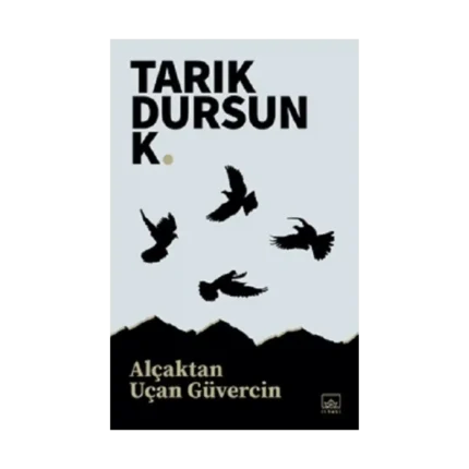 Alçaktan Uçan Güvercin