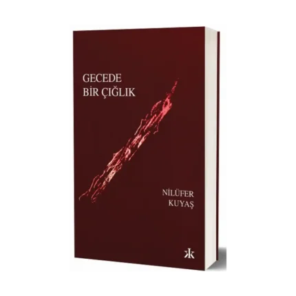 Gecede Bir Çığlık