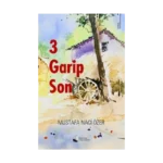 3 Garip Son