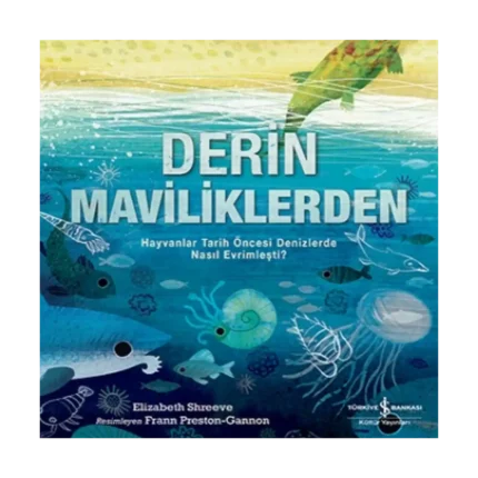 Derin Maviliklerden