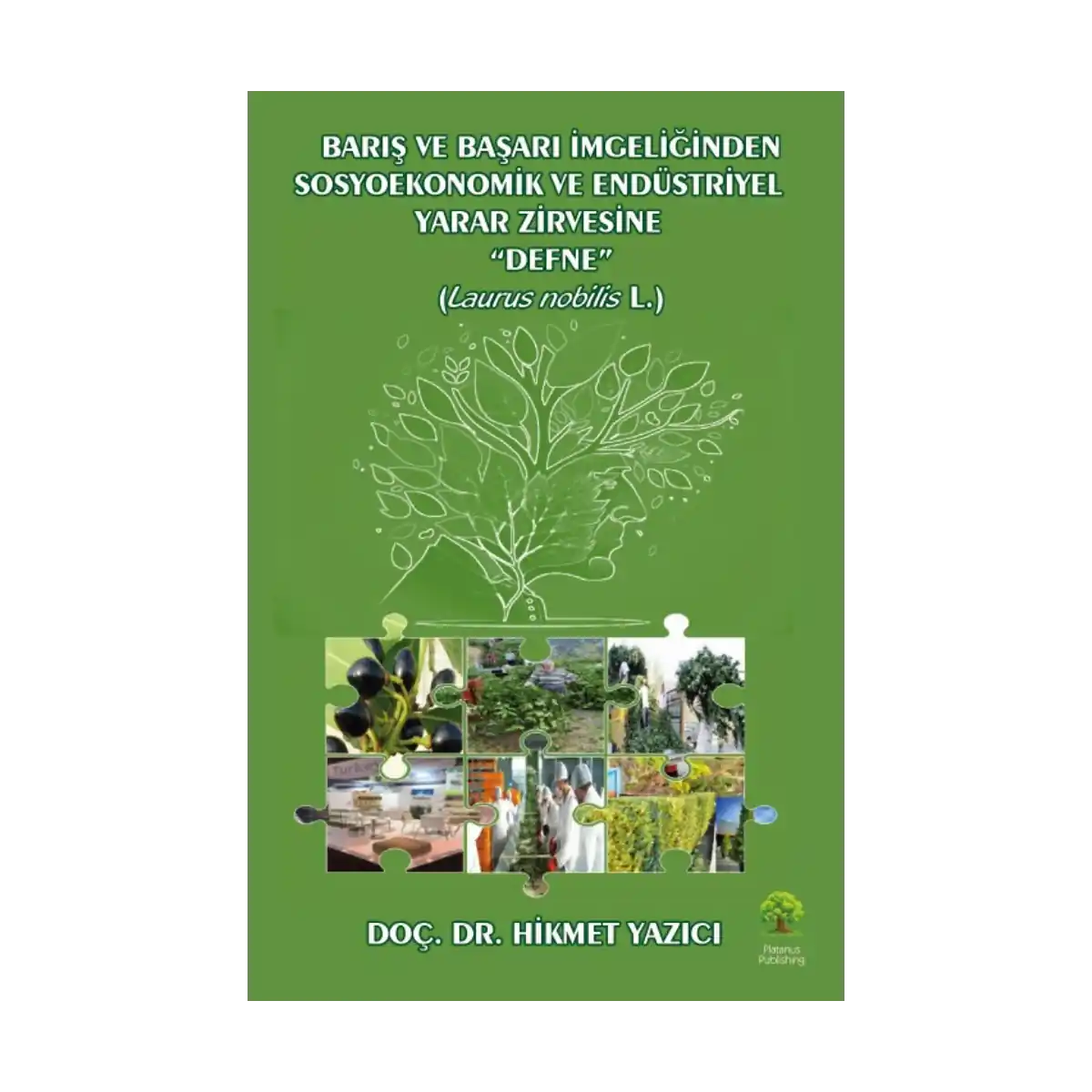 fd36a-baris-ve-basari-simgeliginden-sosyoekonomik-ve-endustriyel-yazar-zirvesine-defne-1-1.webp Barış ve Başarı Simgeliğinden Sosyoekonomik ve Endüstriyel Yazar Zirvesine “Defne” - Görsel 1