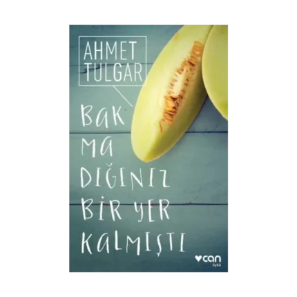 Bakmadığınız Bir Yer Kalmıştı