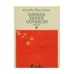 Havada Yanan Güvercin