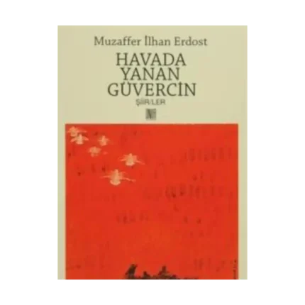 Havada Yanan Güvercin