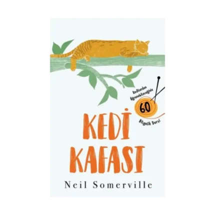 Kedi Kafası