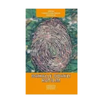 Mahalle Odaklı Katılım