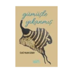 Gümüşle Yıkanmış