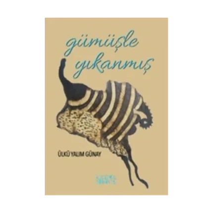Gümüşle Yıkanmış