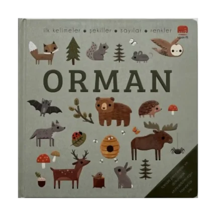 Say Bul Eğlen Orman (Ciltli)