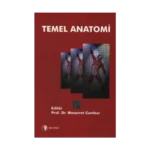 Temel Anatomi