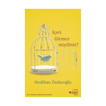 İçeri Girmez miydiniz ?