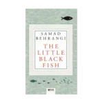 The Little Black Fish