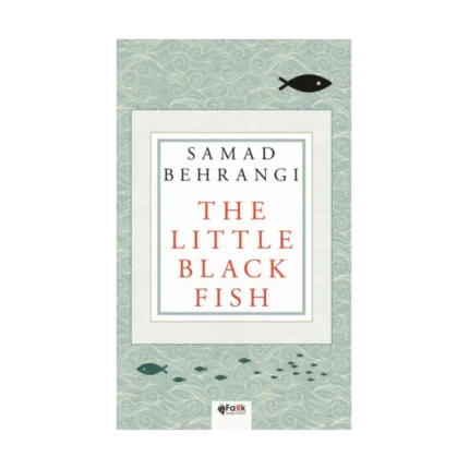 The Little Black Fish
