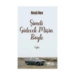 Şimdi Gidecek Misin Böyle