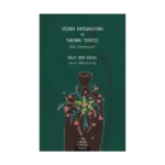 Göçmen Entegrasyonu ve Tanınma Teorisi  - Adil Entegrasyon