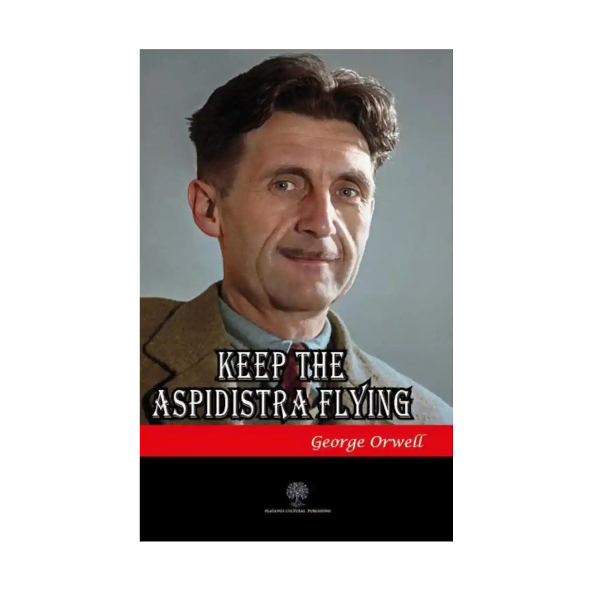 11370-keep-the-aspidistra-flying-1-1.webp Keep the Aspidistra Flying - Görsel 1