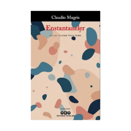 Enstantaneler