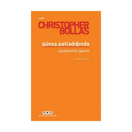 Güneşi Patladığında - Şizofreninin Gizemi