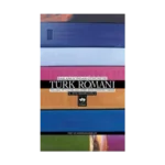 Başlangıçtan Günümüze Türk Romanı