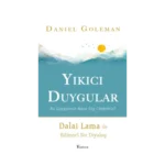 Yıkıcı Duygular