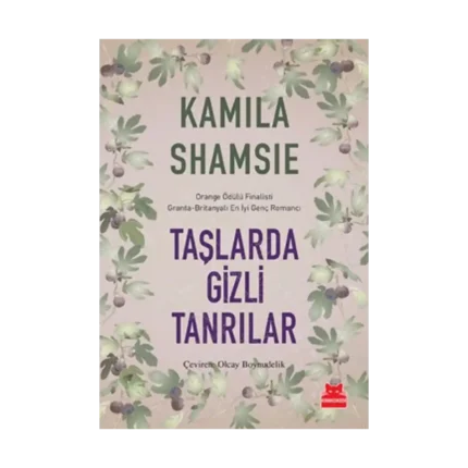 Taşlarda Gizli Tanrılar