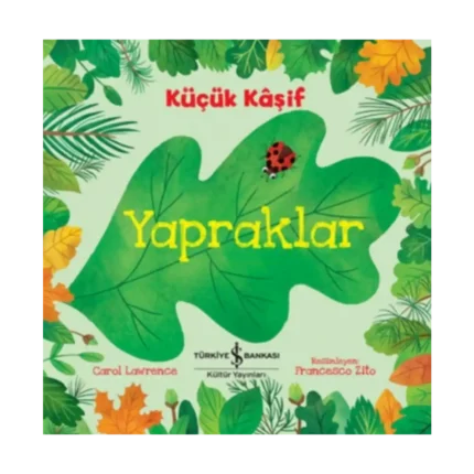 Küçük Kaşif - Yapraklar