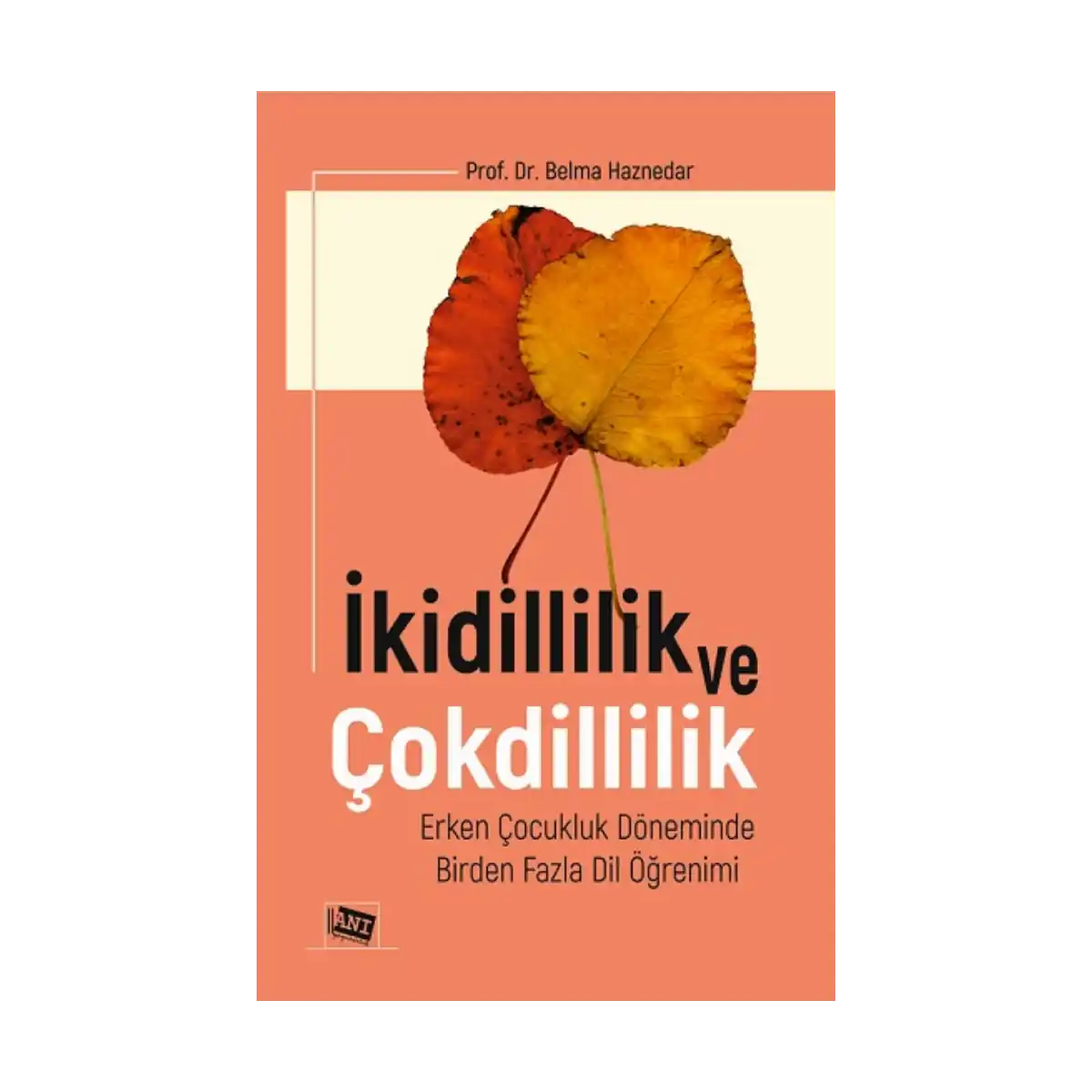 189c6-ikidillilik-ve-cokdillilik-1-1.webp İkidillilik ve Çokdillilik - Görsel 1