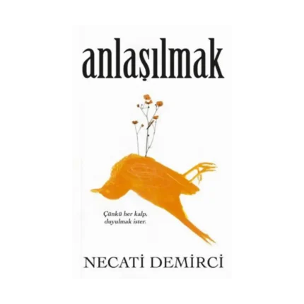 Anlaşılmak