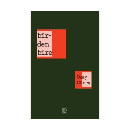 Birdenbire