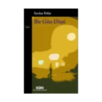 Bir Gün Düşü