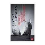 Bir Deli Değilin Defterleri