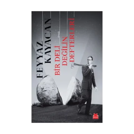 Bir Deli Değilin Defterleri