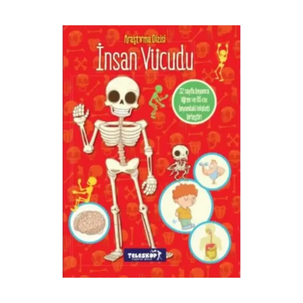 İnsan Vücudu - Araştırma Dizisi