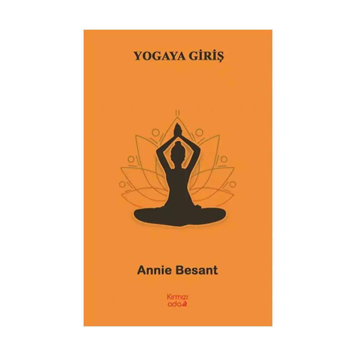 2044a-yogaya-giris-1-1.webp Yogaya Giriş - Görsel 1