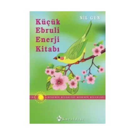 Küçük Ebruli Enerji Kitabı