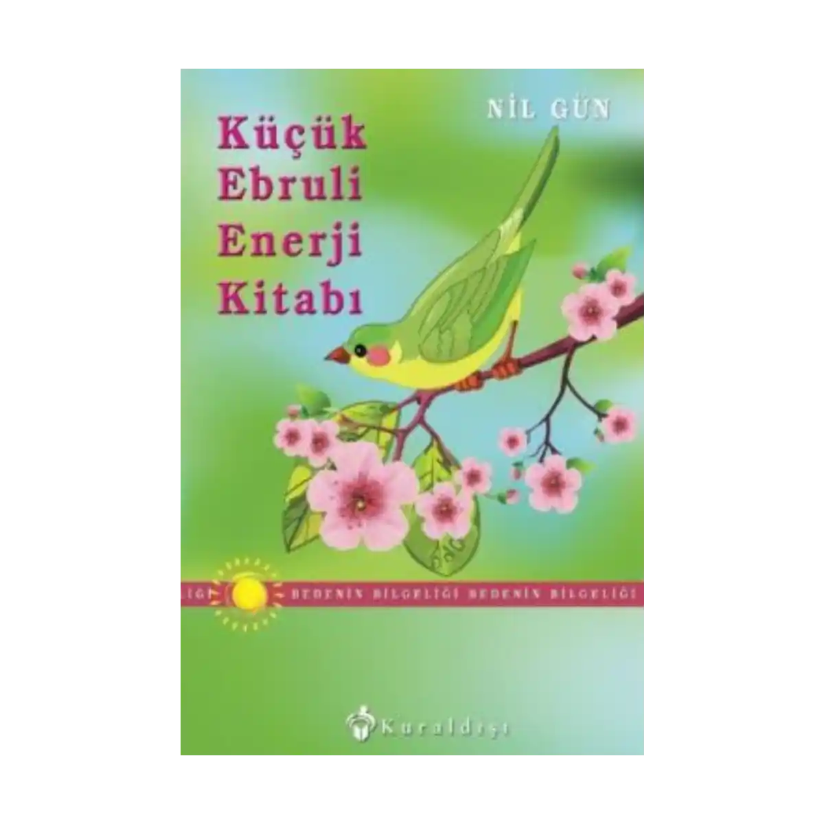228f1-kucuk-ebruli-enerji-kitabi-1-1.webp Küçük Ebruli Enerji Kitabı - Görsel 1