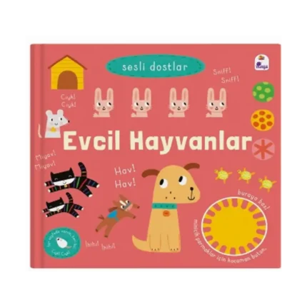 Sesli Dostlar – Evcil Hayvanlar (Sesli Kitap)