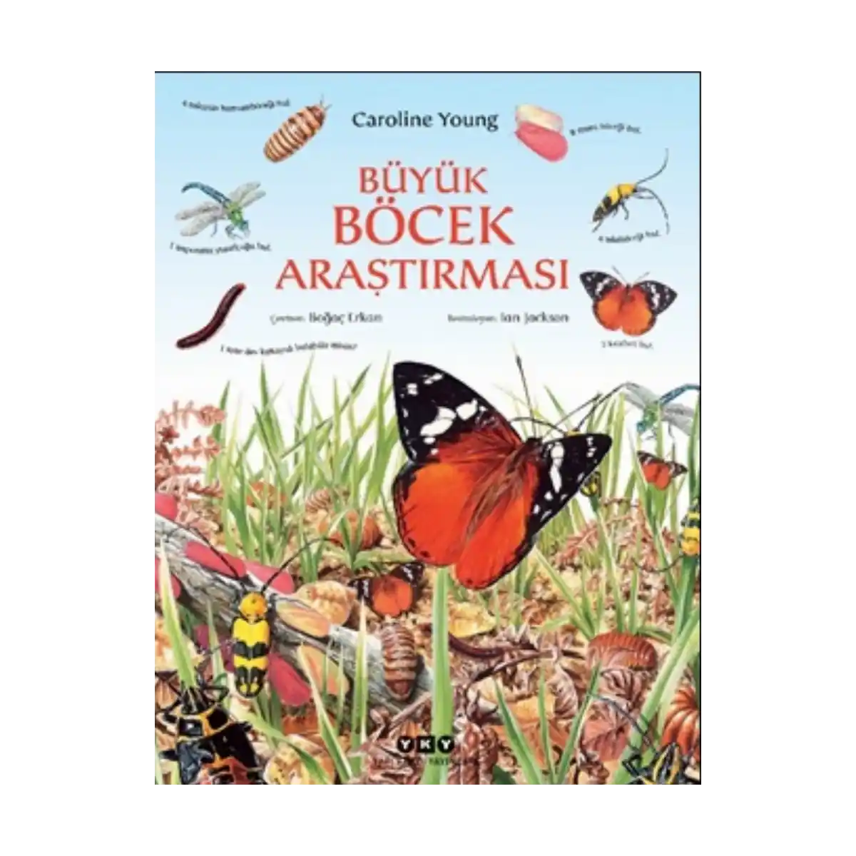 24351-buyuk-bocek-arastirmasi-1-1.webp Büyük Böcek Araştırması - Görsel 1