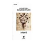 Noturdama Performansları