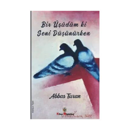 Bir Üşüdüm ki Seni Düşünürken