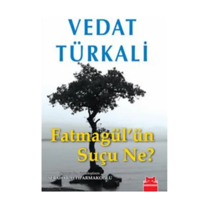 Fatmagül’ün Suçu Ne?