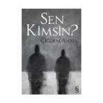 Sen Kimsin?
